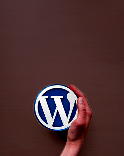 Wordpress Development